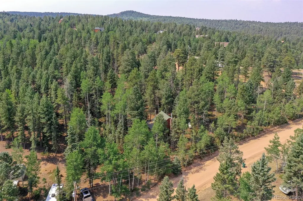 114 Mt Powderhorn Lane Florissant CO 80816