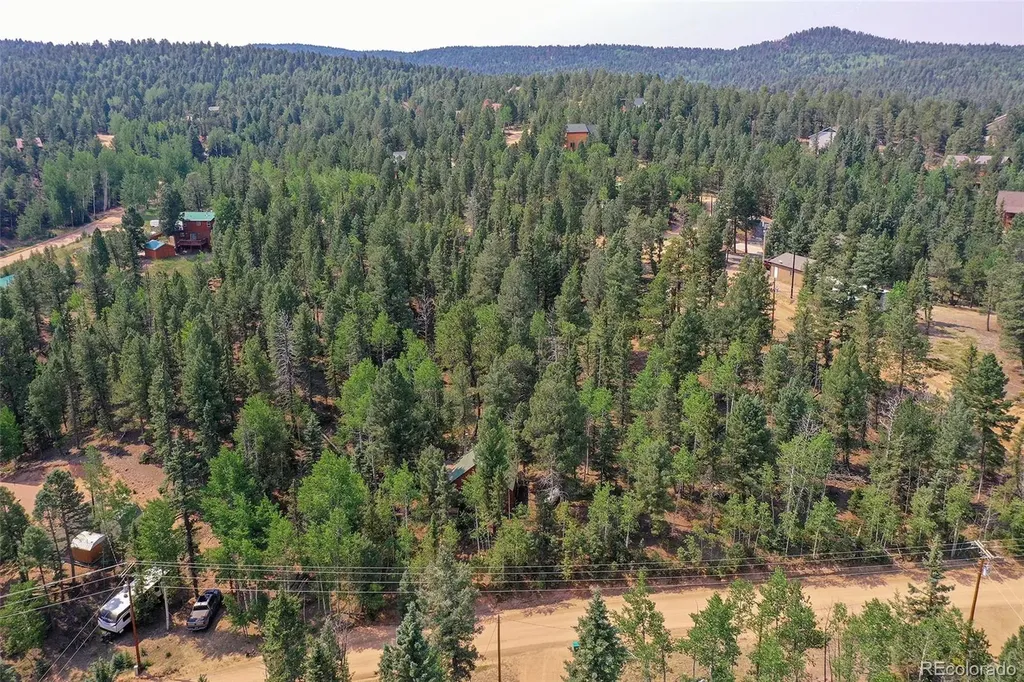114 Mt Powderhorn Lane Florissant CO 80816