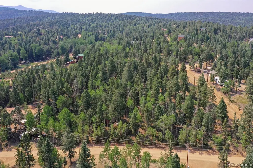 114 Mt Powderhorn Lane Florissant CO 80816