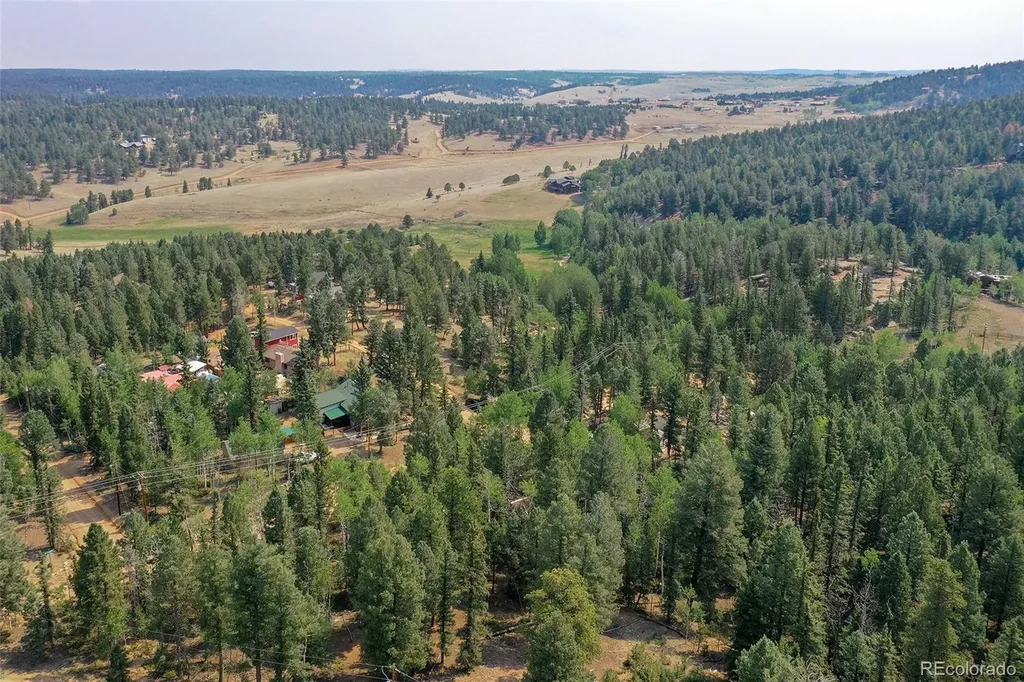114 Mt Powderhorn Lane Florissant CO 80816