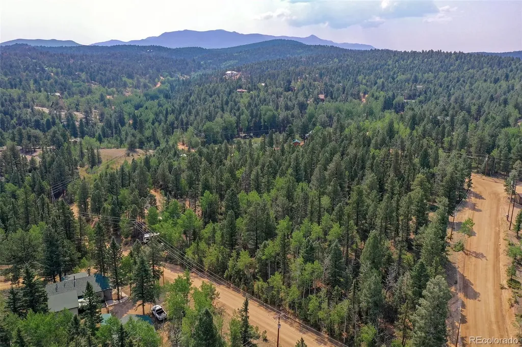 114 Mt Powderhorn Lane Florissant CO 80816