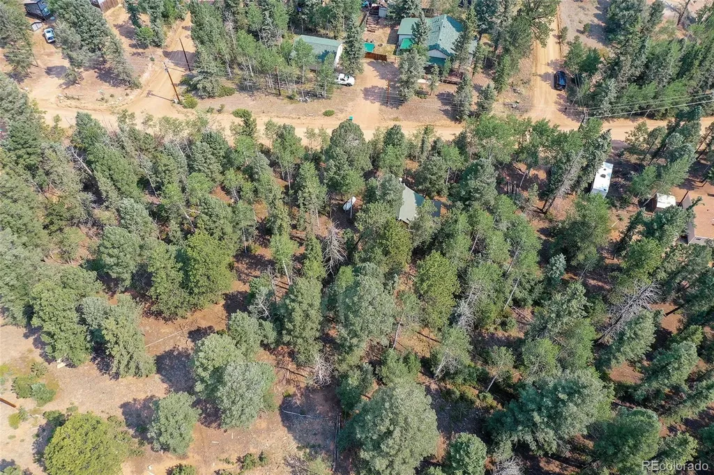 114 Mt Powderhorn Lane Florissant CO 80816