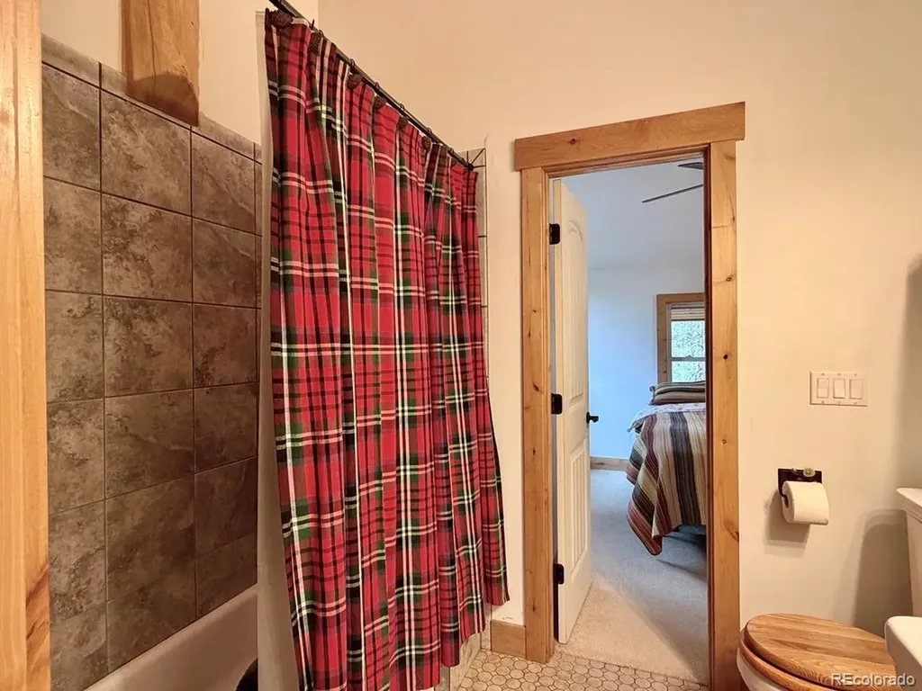 834 Lodge Pole Drive Leadville CO 80461