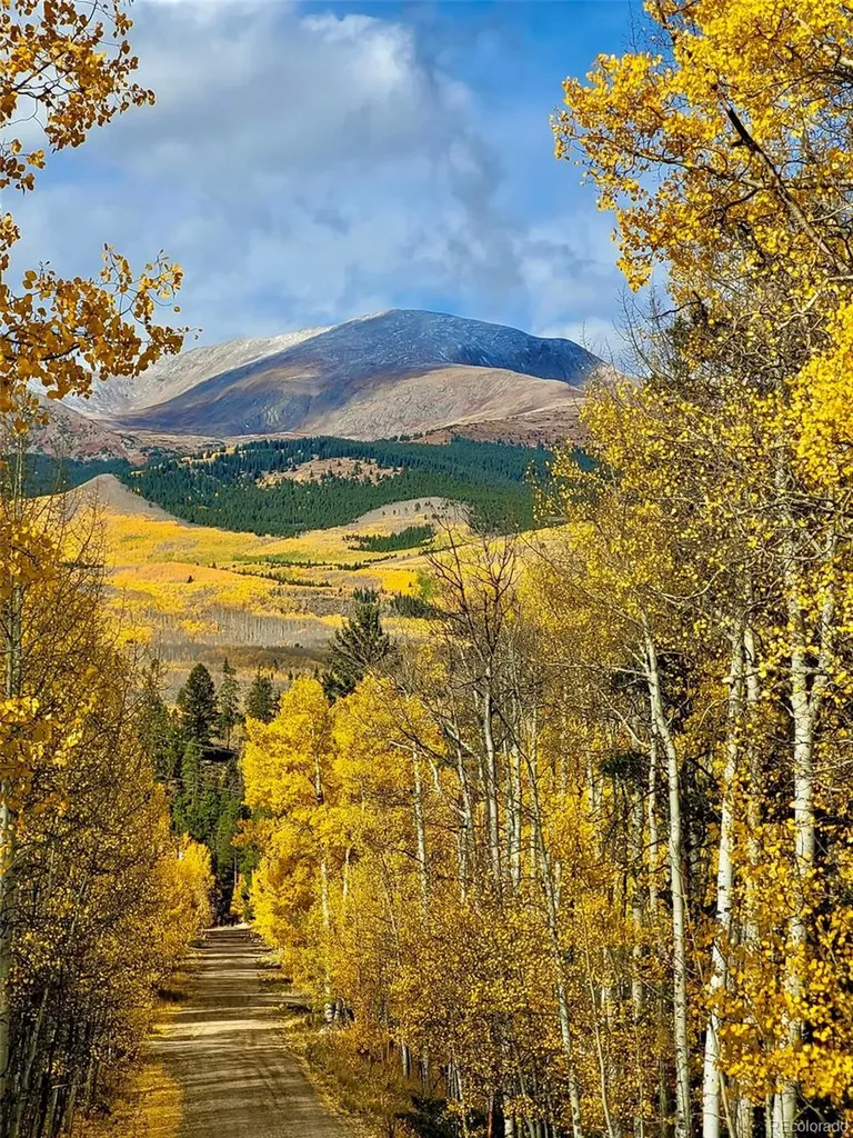 834 Lodge Pole Drive Leadville CO 80461