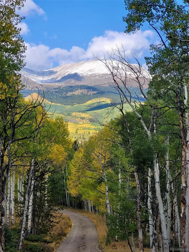 834 Lodge Pole Drive Leadville CO 80461