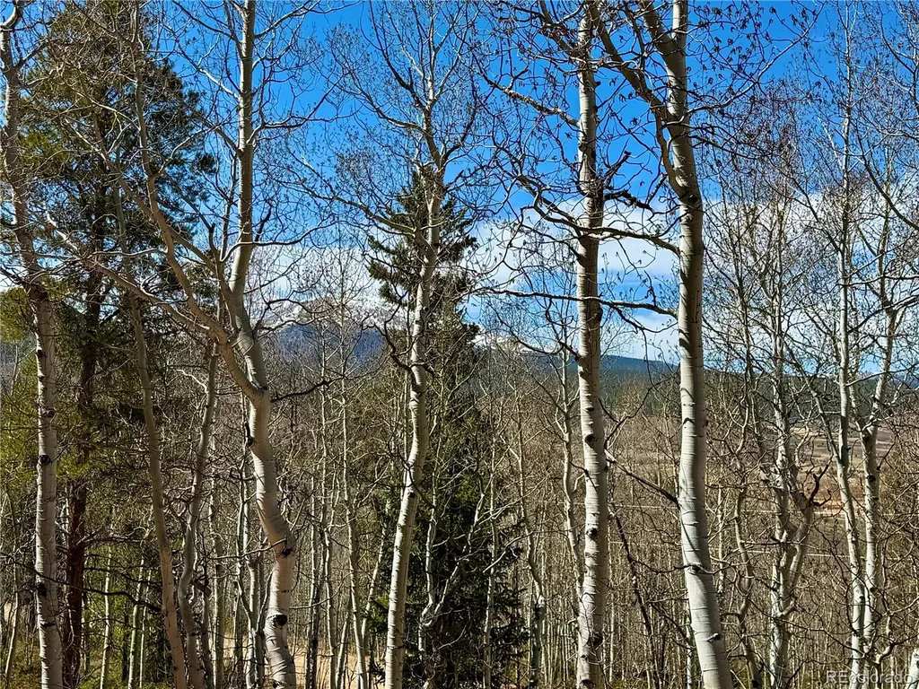 834 Lodge Pole Drive Leadville CO 80461