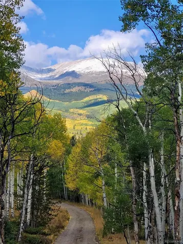 834 Lodge Pole Drive Leadville CO 80461