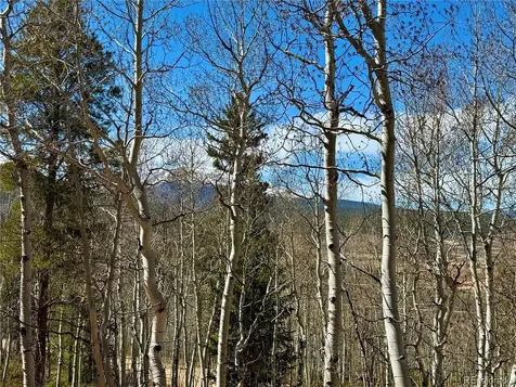834 Lodge Pole Drive Leadville CO 80461