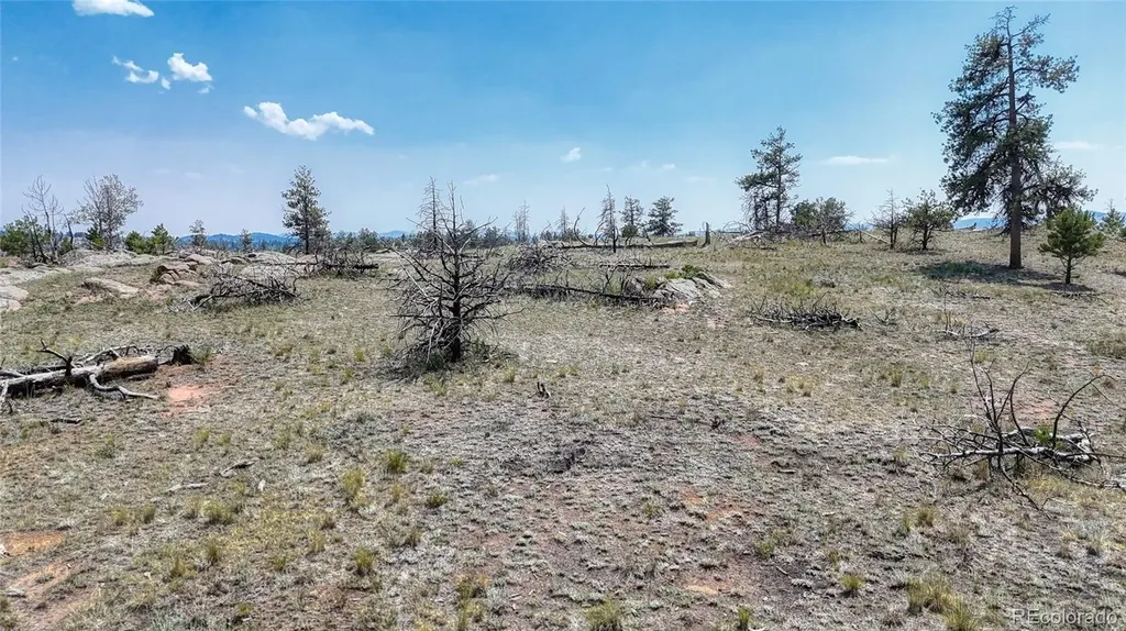 617 Chateau Vista Florissant CO 80816