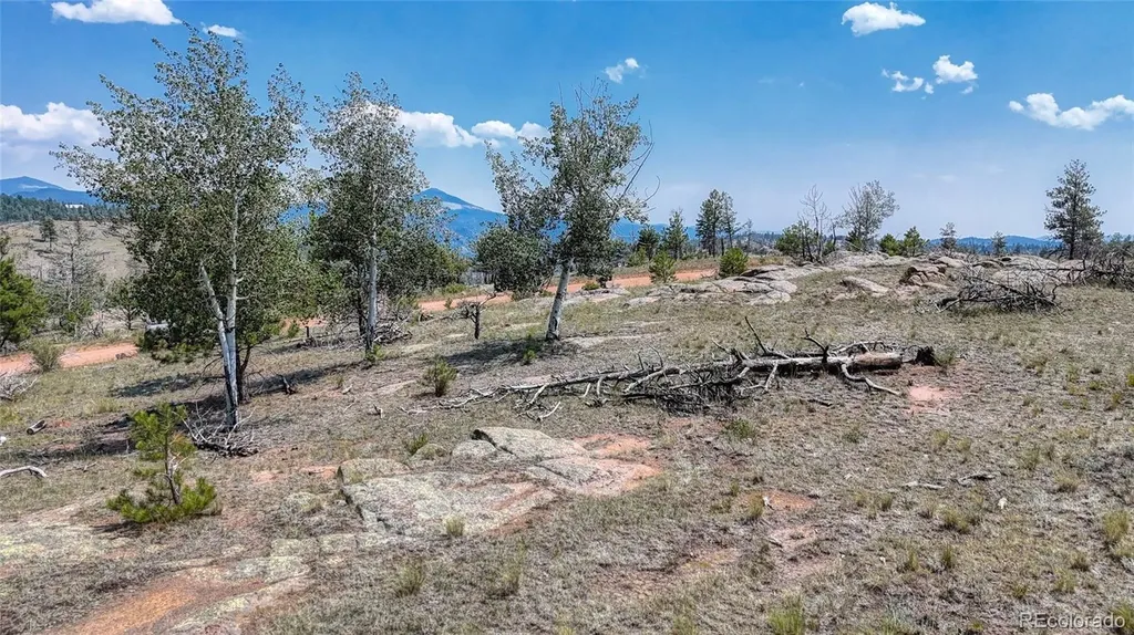 617 Chateau Vista Florissant CO 80816