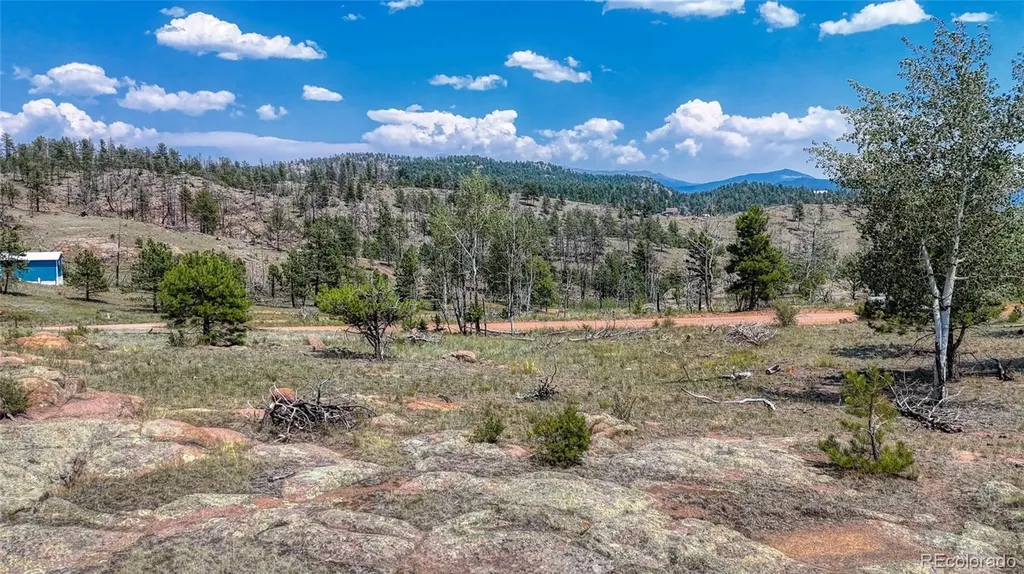 617 Chateau Vista Florissant CO 80816