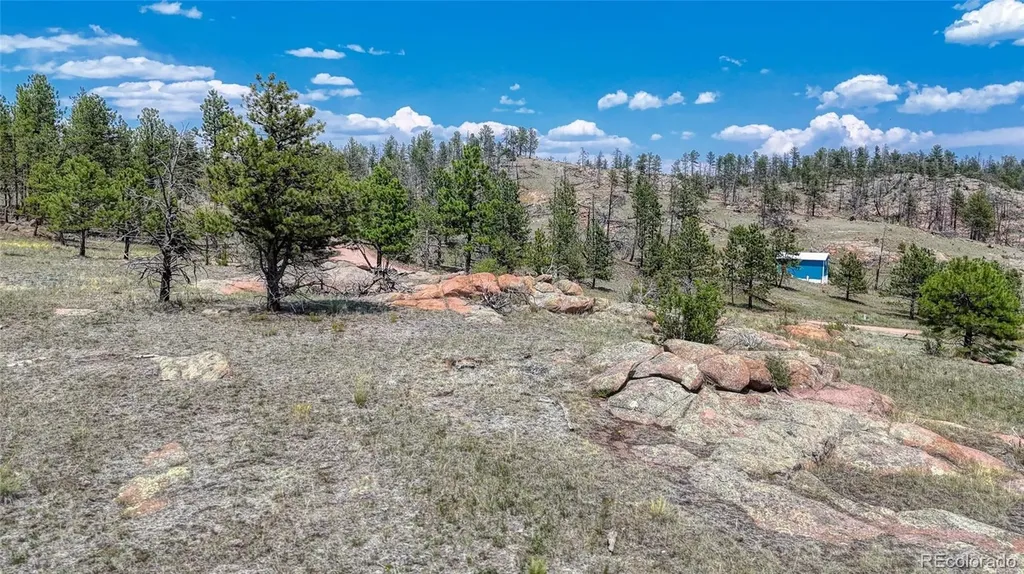617 Chateau Vista Florissant CO 80816