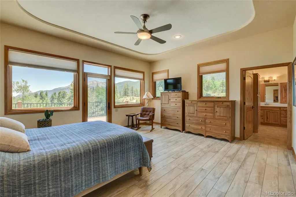 30180 Mountaintop Drive Buena Vista CO 81211