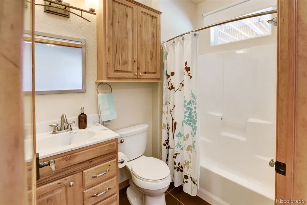 30180 Mountaintop Drive Buena Vista CO 81211