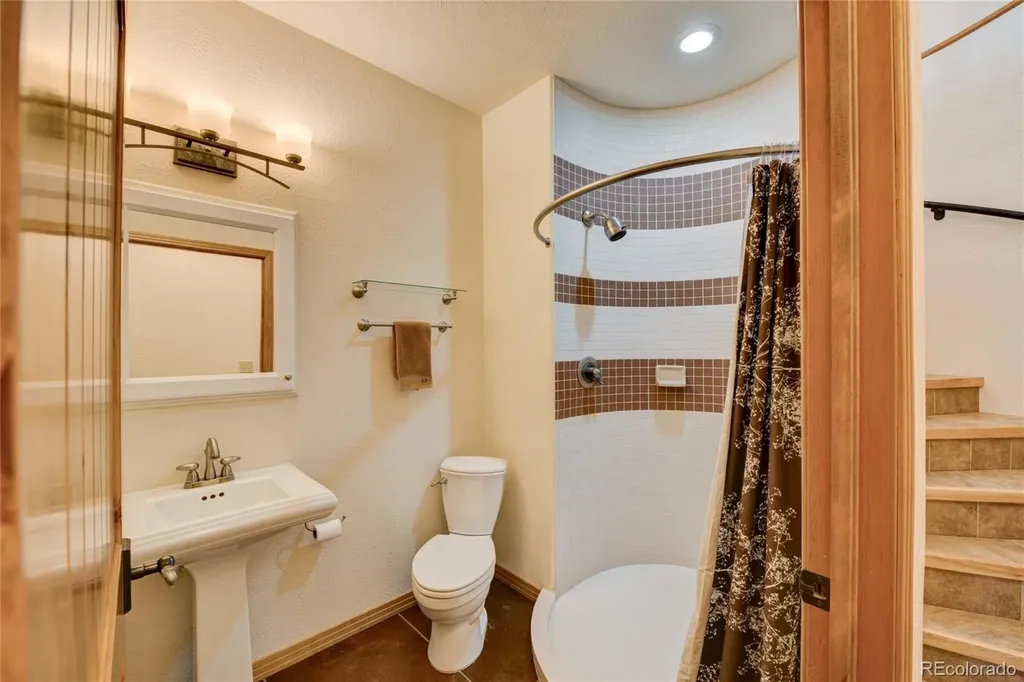 30180 Mountaintop Drive Buena Vista CO 81211