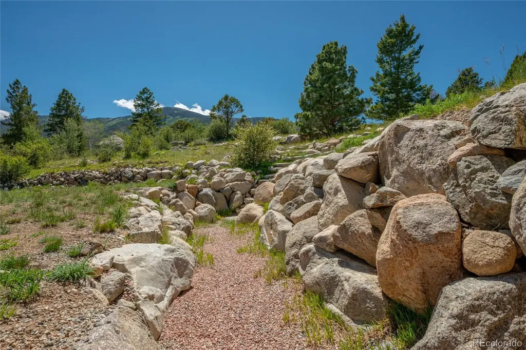 30180 Mountaintop Drive Buena Vista CO 81211