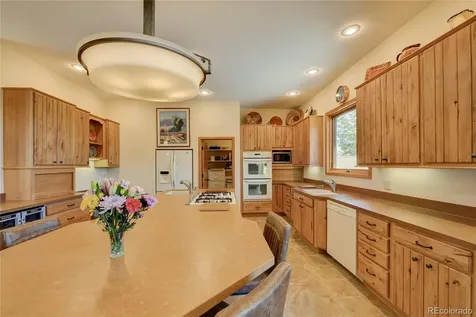 30180 Mountaintop Drive Buena Vista CO 81211