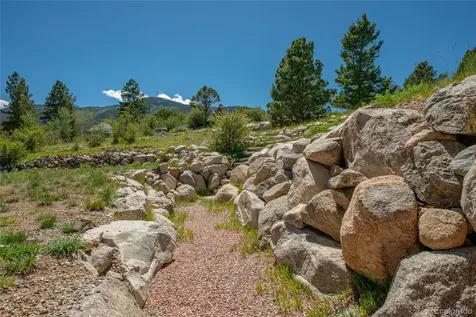 30180 Mountaintop Drive Buena Vista CO 81211