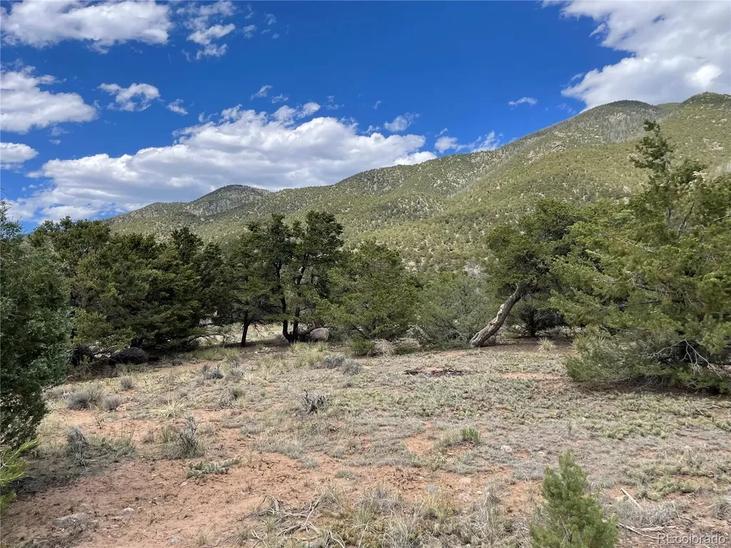 4303 Fallen Tree Crestone CO 81131