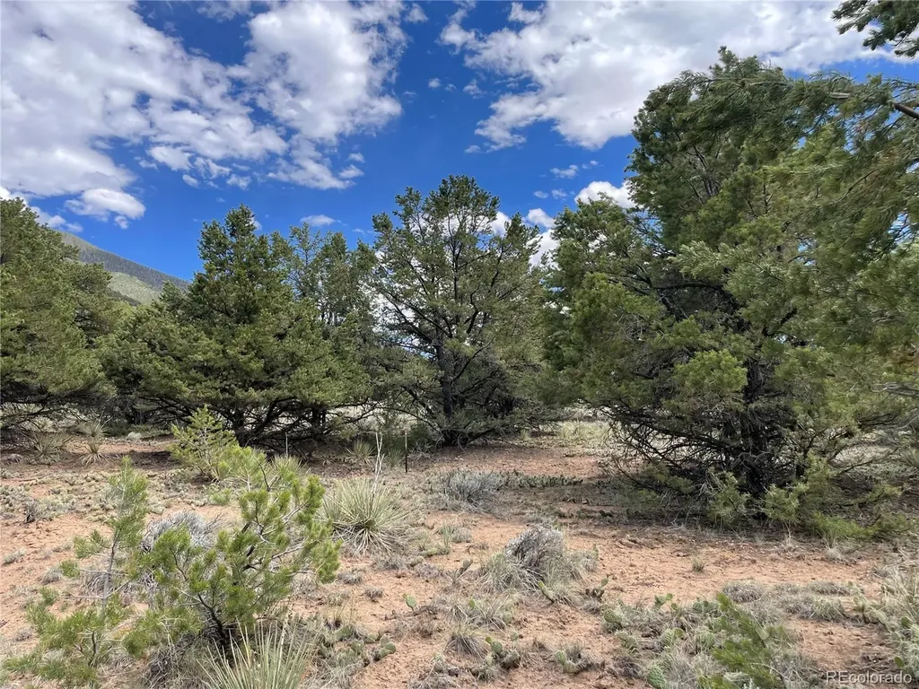 4303 Fallen Tree Crestone CO 81131