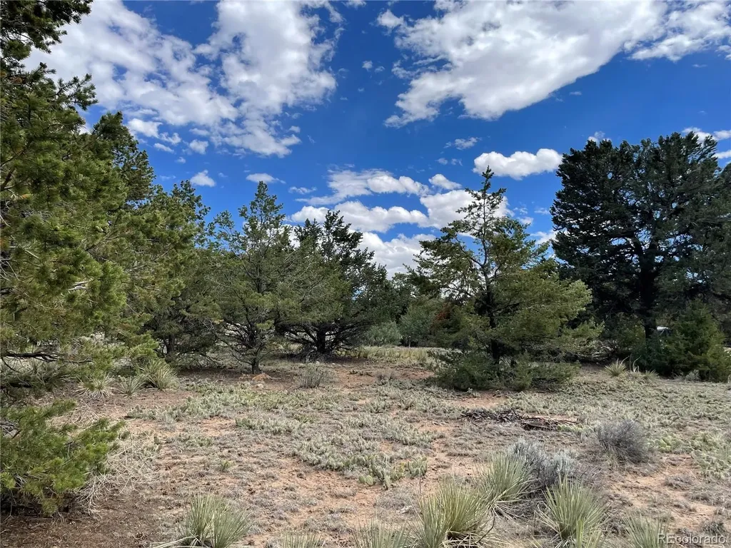 4303 Fallen Tree Crestone CO 81131