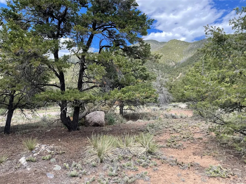 4303 Fallen Tree Crestone CO 81131