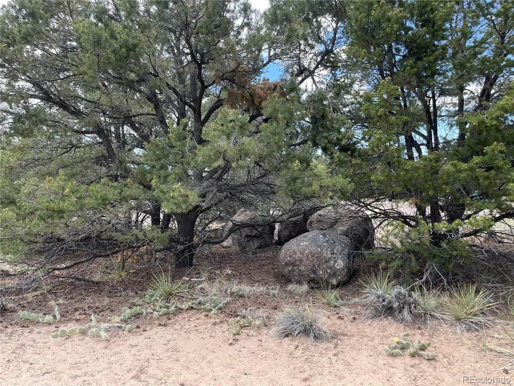 4303 Fallen Tree Crestone CO 81131