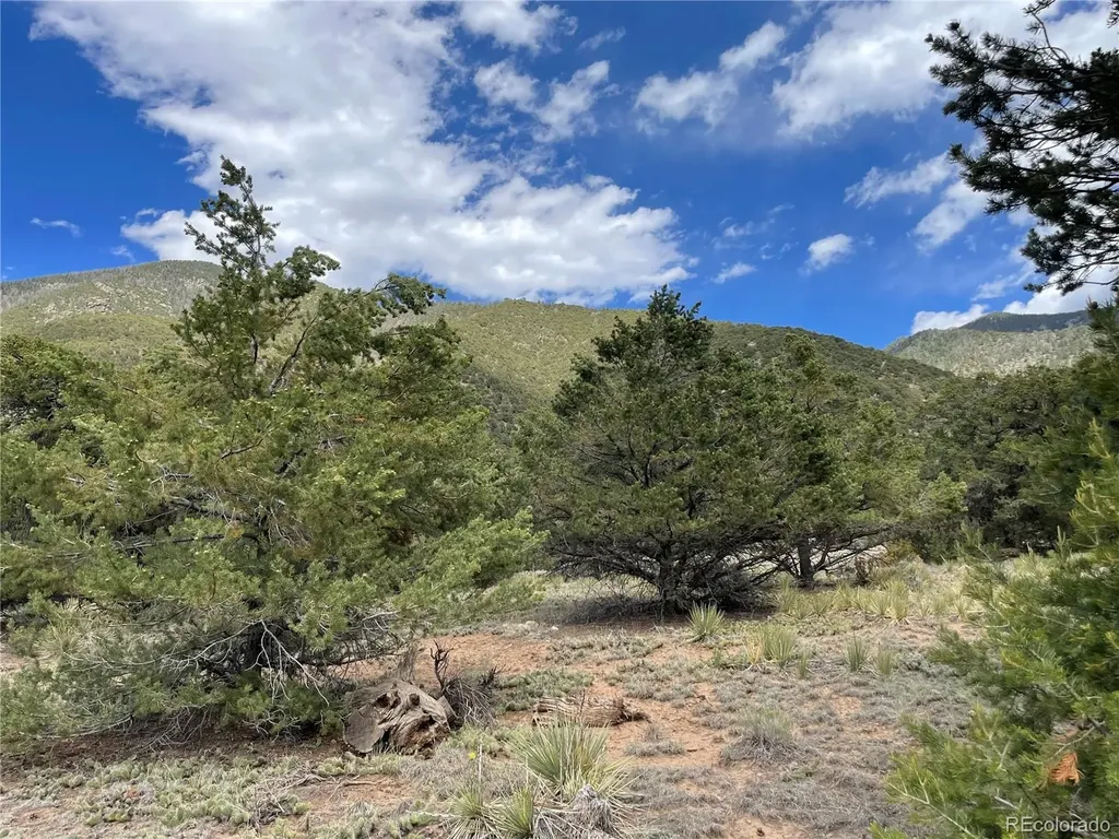 4303 Fallen Tree Crestone CO 81131