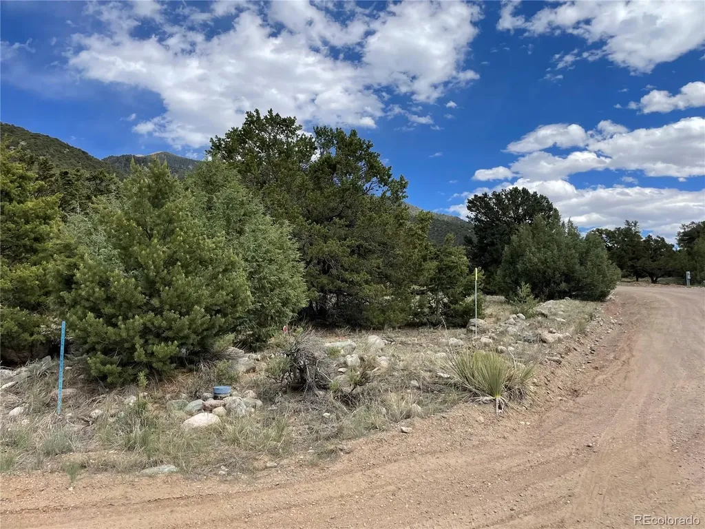 4303 Fallen Tree Crestone CO 81131