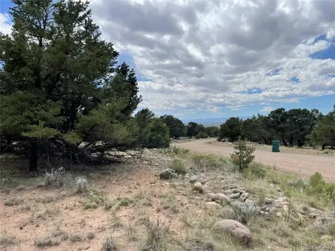 4303 Fallen Tree Crestone CO 81131
