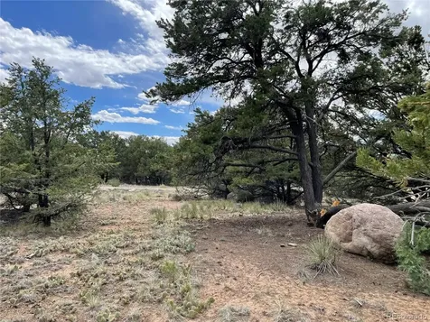 4303 Fallen Tree Crestone CO 81131