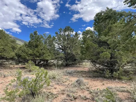 4303 Fallen Tree Crestone CO 81131