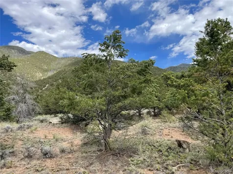 4303 Fallen Tree Crestone CO 81131