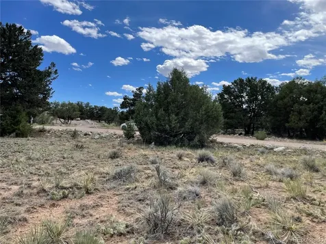4303 Fallen Tree Crestone CO 81131