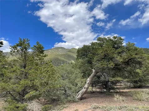 4303 Fallen Tree Crestone CO 81131