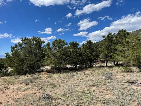 4303 Fallen Tree Crestone CO 81131
