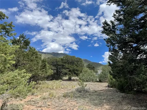 4303 Fallen Tree Crestone CO 81131