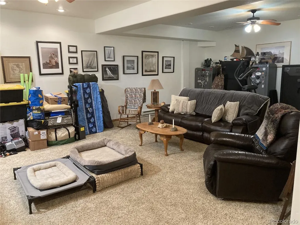 1420 Coyote Run Cotopaxi CO 81223