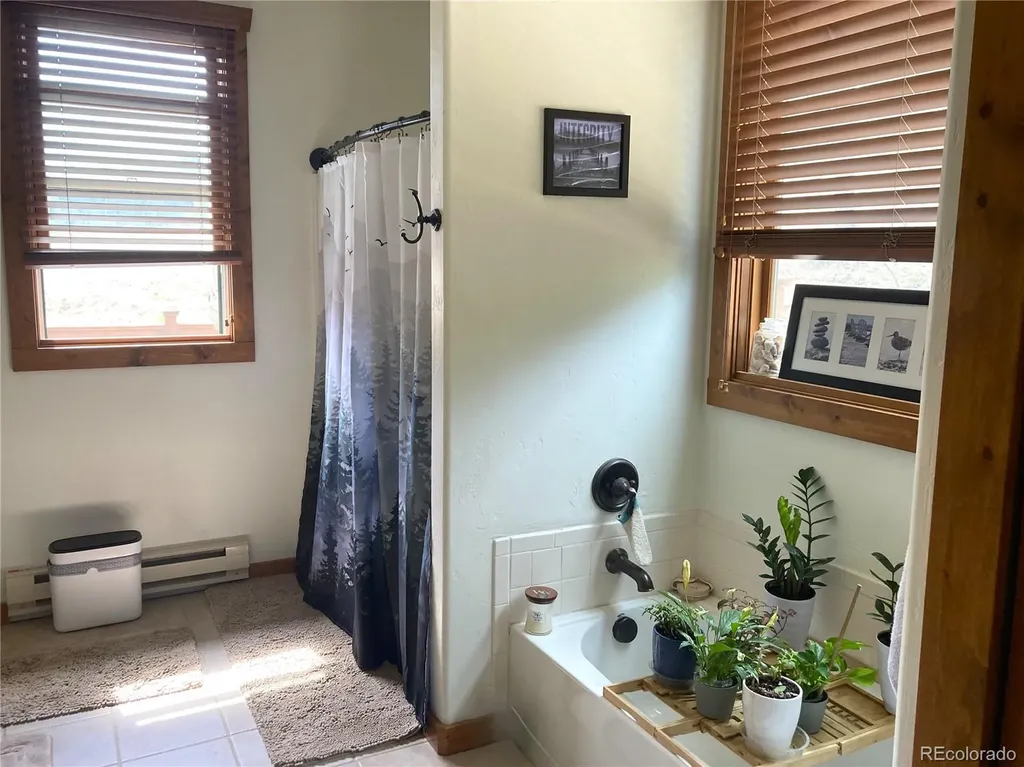 1420 Coyote Run Cotopaxi CO 81223