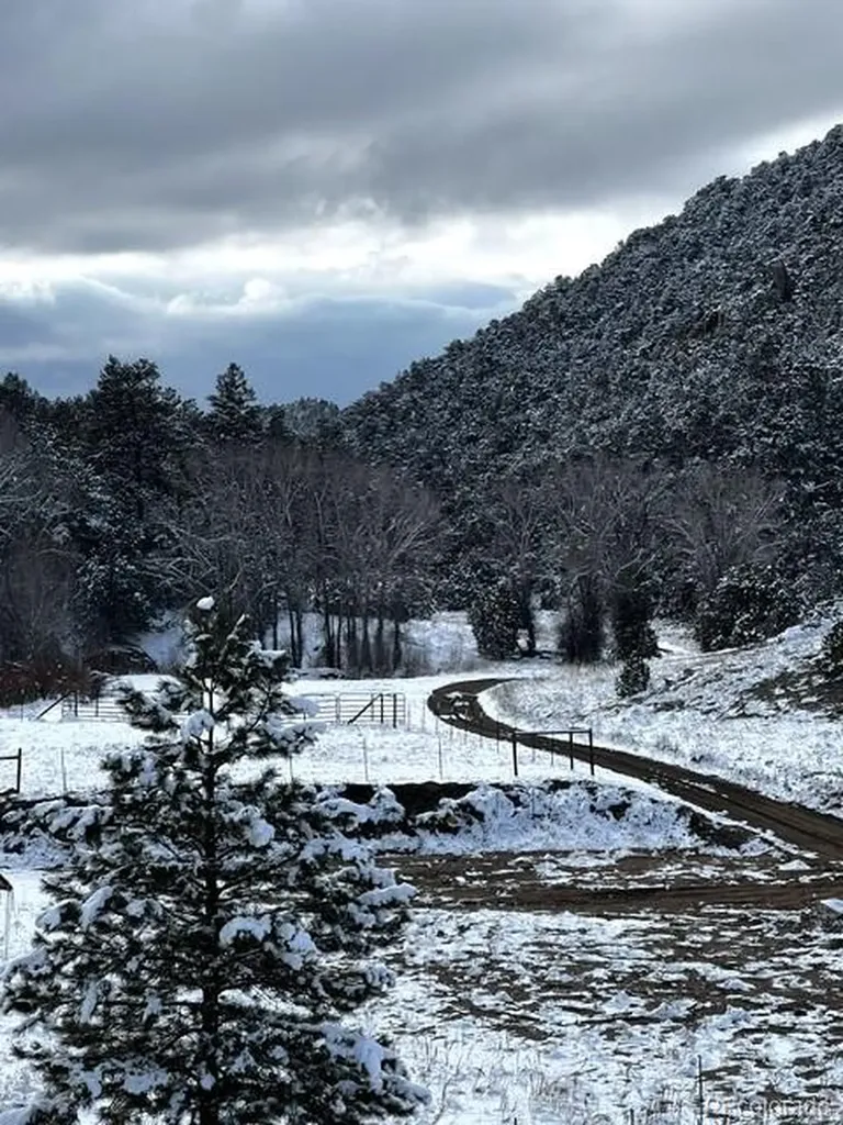 1420 Coyote Run Cotopaxi CO 81223