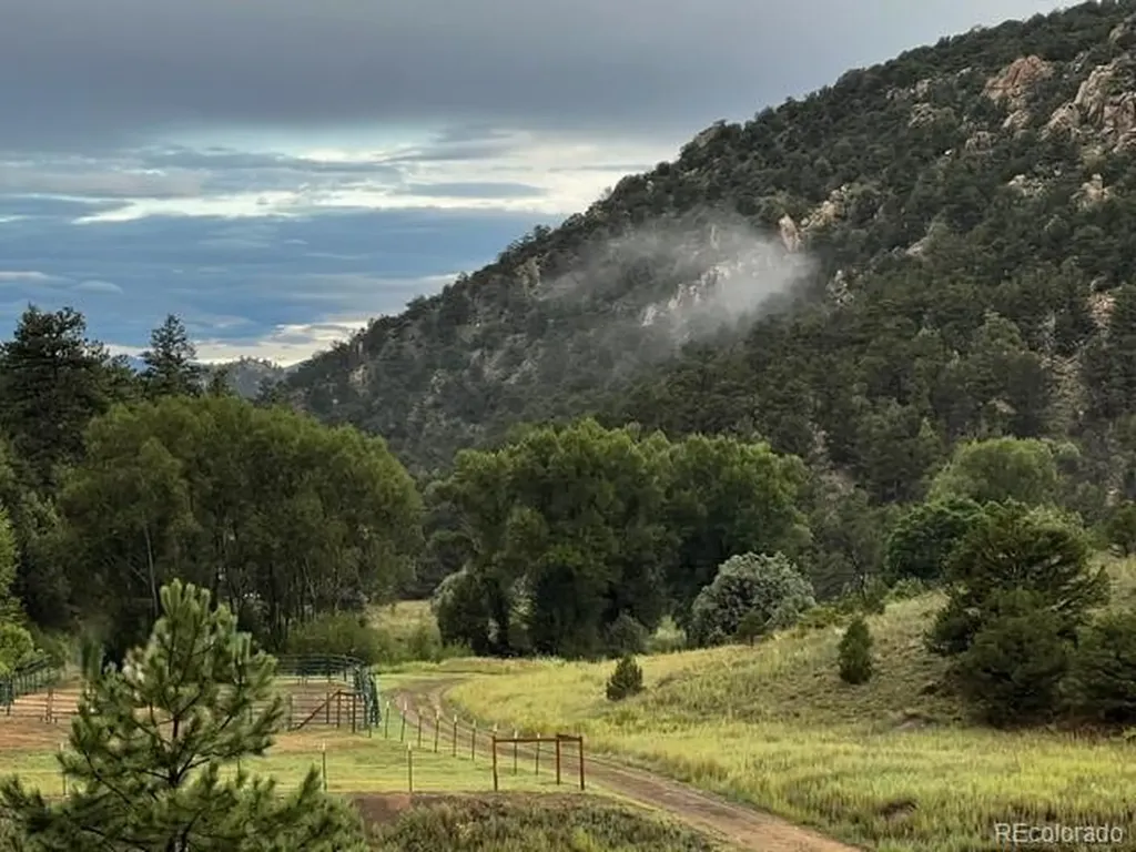 1420 Coyote Run Cotopaxi CO 81223