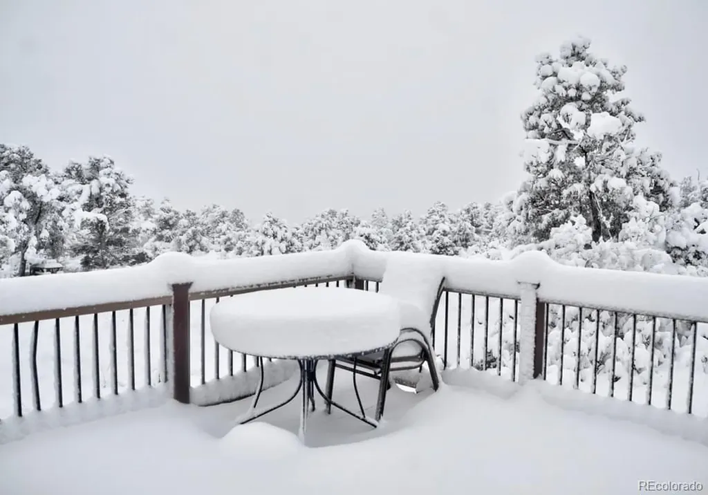 1420 Coyote Run Cotopaxi CO 81223