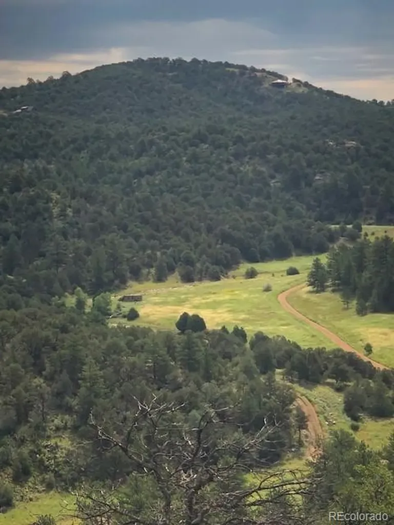1420 Coyote Run Cotopaxi CO 81223