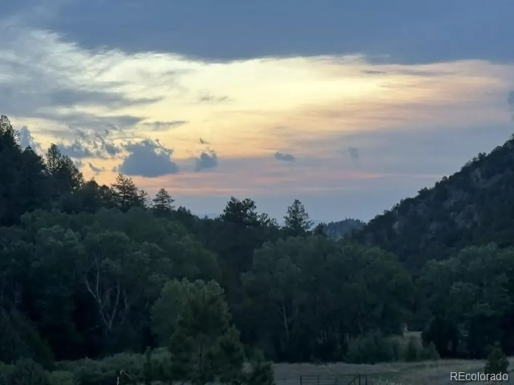 1420 Coyote Run Cotopaxi CO 81223