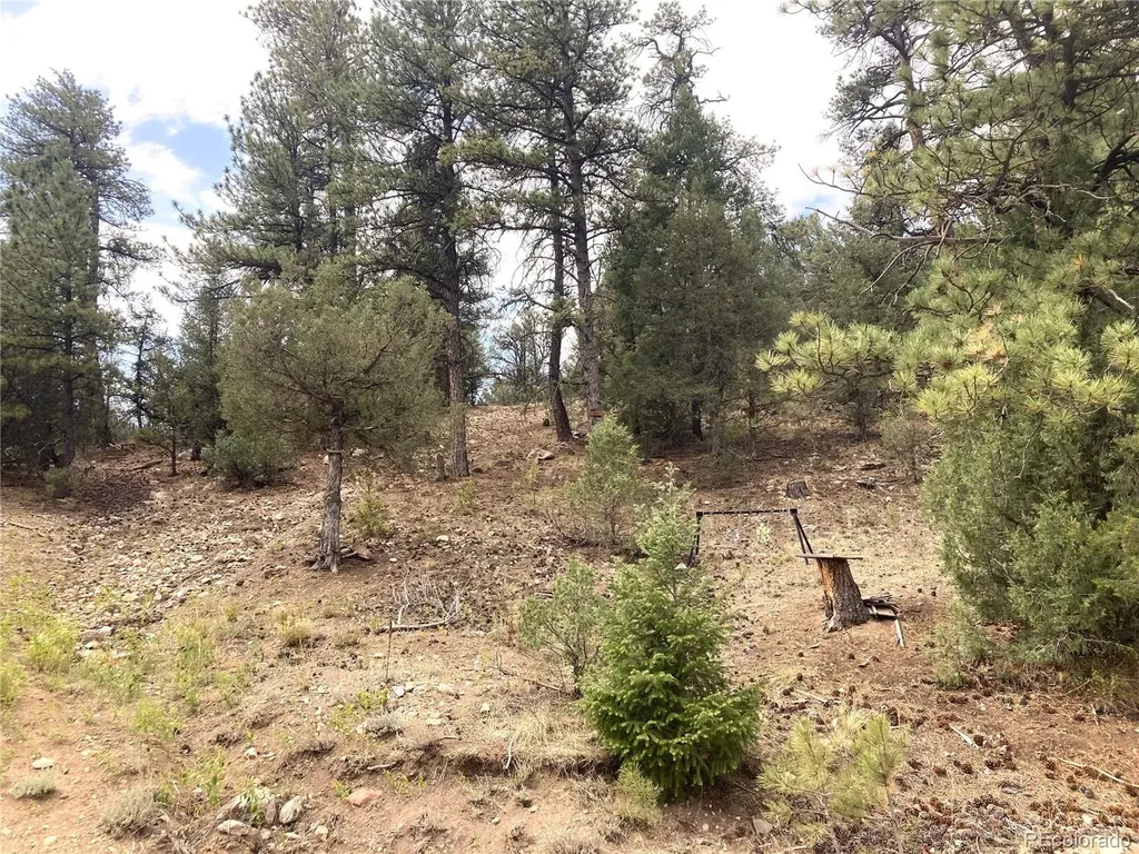 1420 Coyote Run Cotopaxi CO 81223