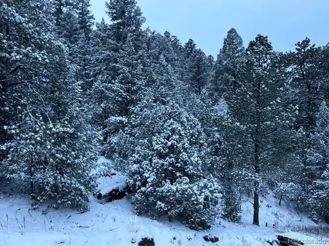 1420 Coyote Run Cotopaxi CO 81223