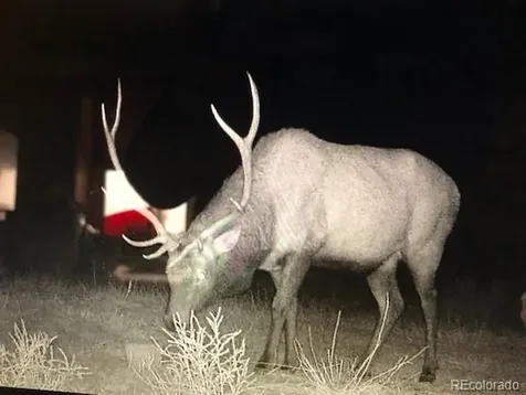 1420 Coyote Run Cotopaxi CO 81223