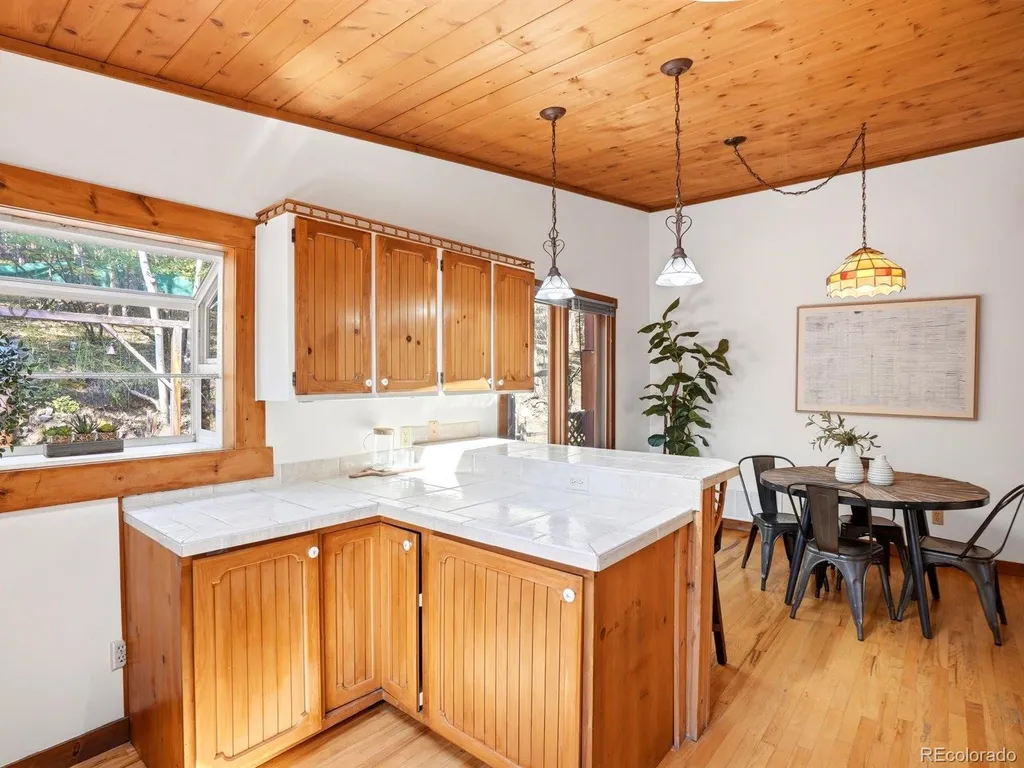 29 Blue Spruce Drive Evergreen CO 80439