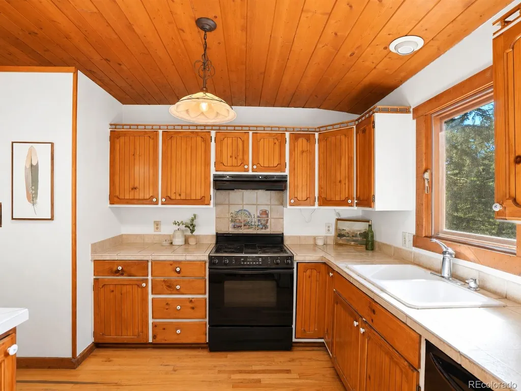 29 Blue Spruce Drive Evergreen CO 80439