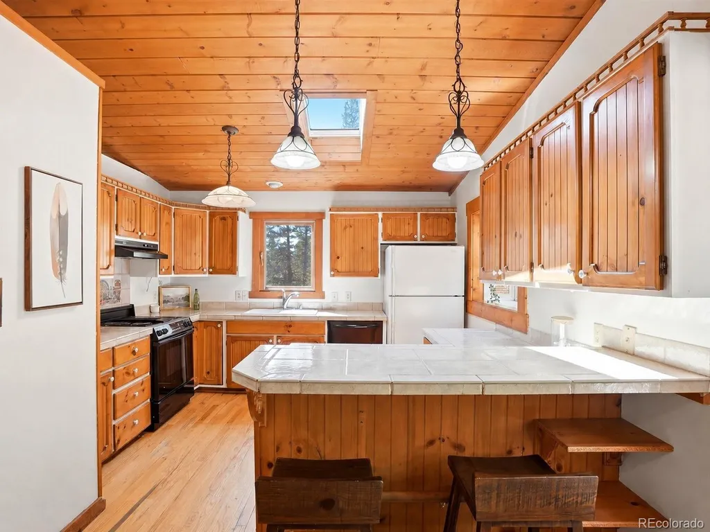 29 Blue Spruce Drive Evergreen CO 80439
